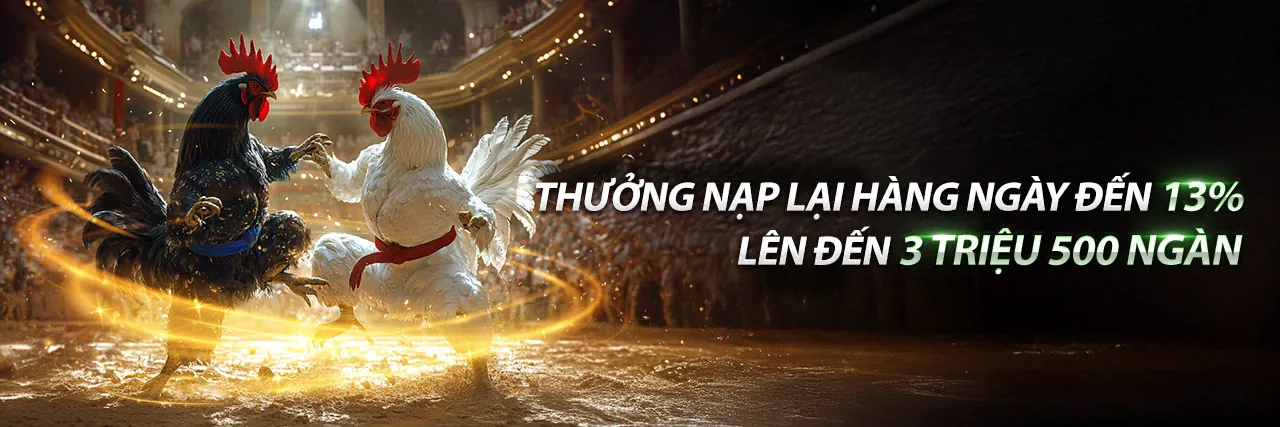 Đá Gà Trực Tiếp Bình Luận Viên Hôm Nay 2026
