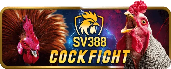 Cá cược có trách nhiệm